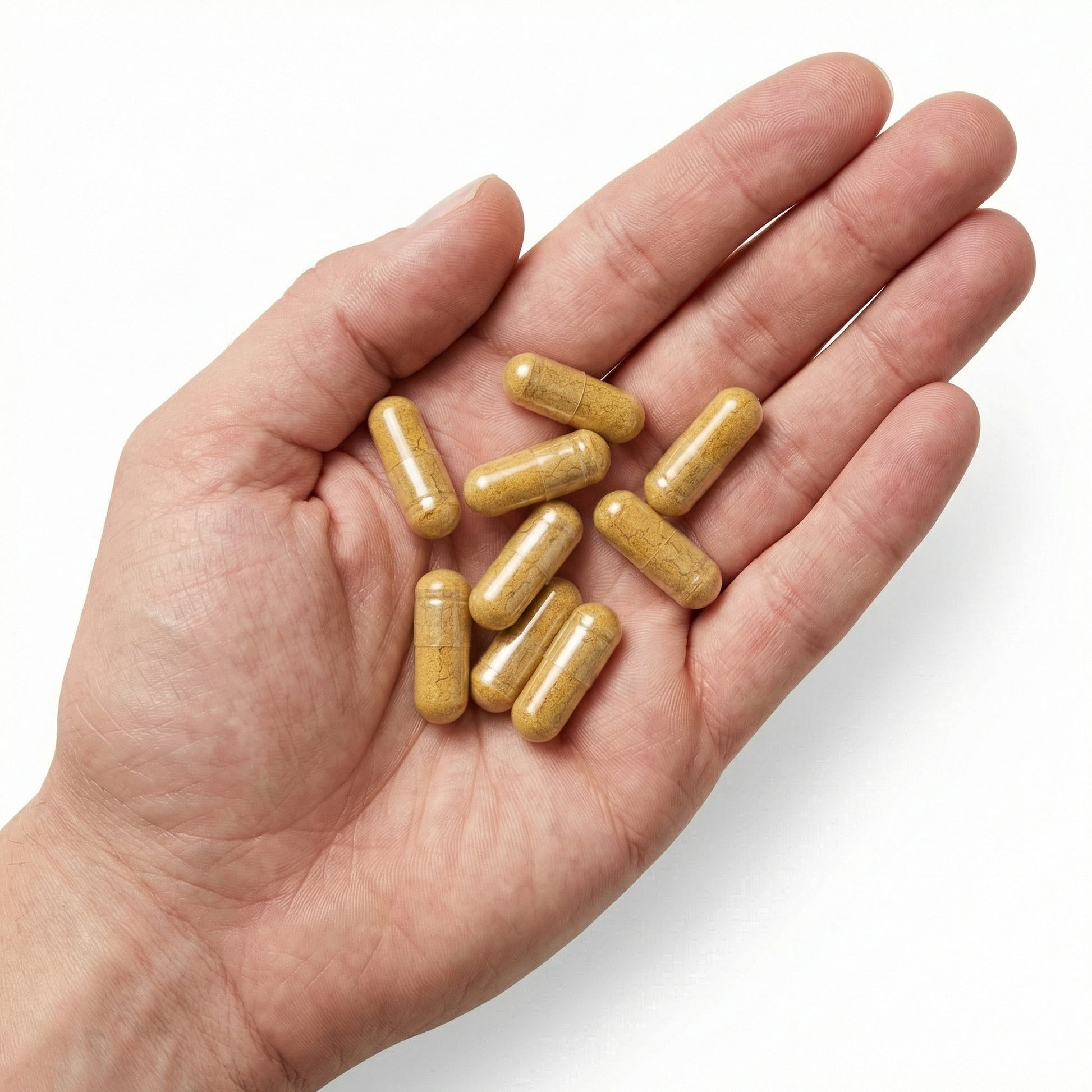 Mushrooms Supplement